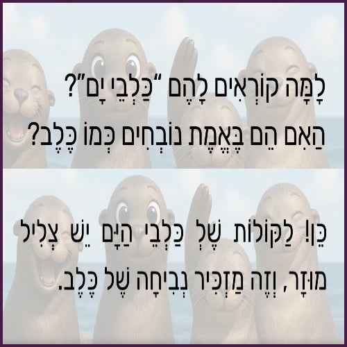 כלבי הים