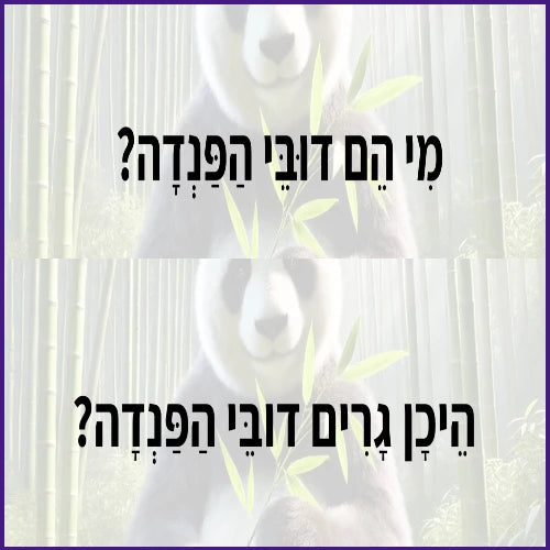 דובי הפנדה