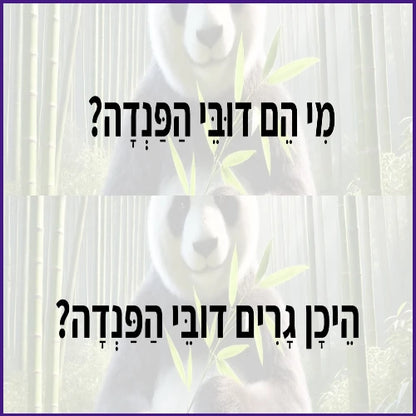 דובי הפנדה