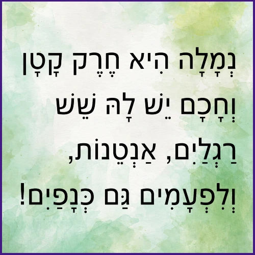 עולם הנמלים