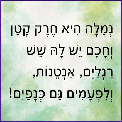 עולם הנמלים