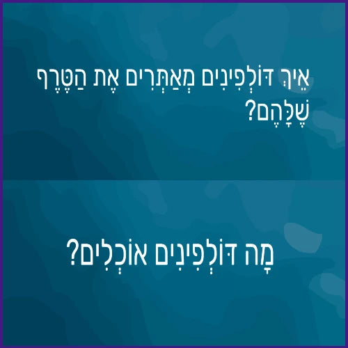 עולם הדולפינים
