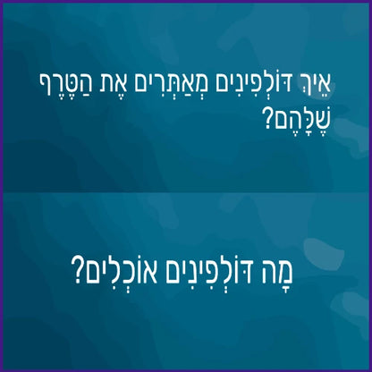 עולם הדולפינים