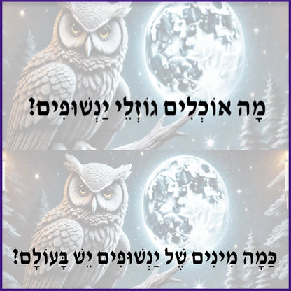 ינשופים