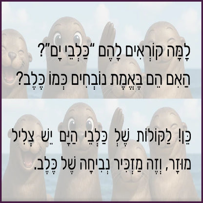 כלבי הים